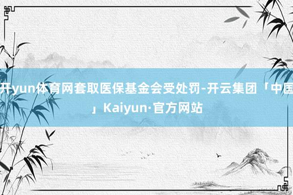 开yun体育网套取医保基金会受处罚-开云集团「中国」Kaiyun·官方网站