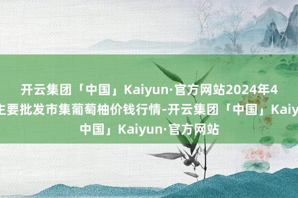 开云集团「中国」Kaiyun·官方网站2024年4月24日寰宇主要批发市集葡萄柚价钱行情-开云集团「中国」Kaiyun·官方网站