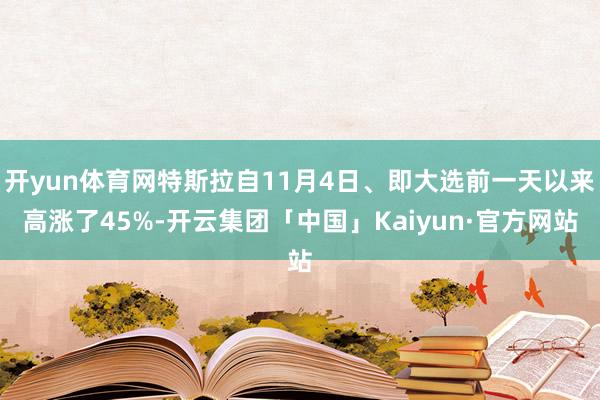 开yun体育网特斯拉自11月4日、即大选前一天以来高涨了45%-开云集团「中国」Kaiyun·官方网站