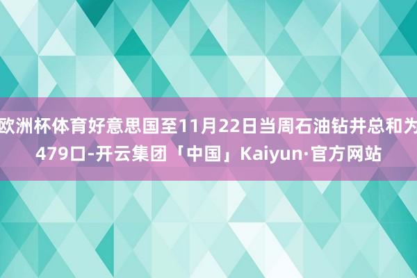 欧洲杯体育好意思国至11月22日当周石油钻井总和为479口-开云集团「中国」Kaiyun·官方网站