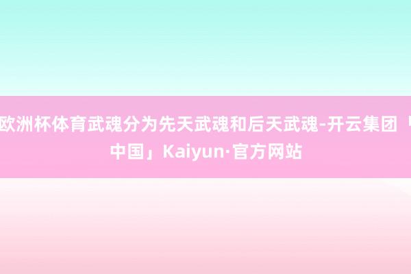 欧洲杯体育武魂分为先天武魂和后天武魂-开云集团「中国」Kaiyun·官方网站