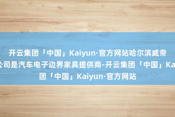 开云集团「中国」Kaiyun·官方网站哈尔滨威帝电子股份有限公司是汽车电子边界家具提供商-开云集团「中国」Kaiyun·官方网站