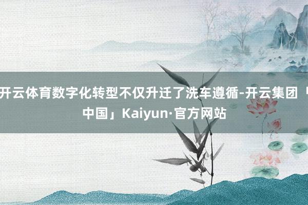 开云体育数字化转型不仅升迁了洗车遵循-开云集团「中国」Kaiyun·官方网站