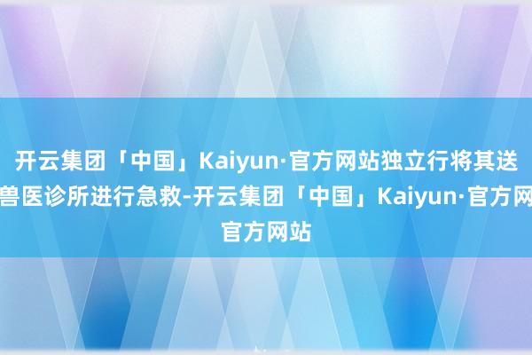 开云集团「中国」Kaiyun·官方网站独立行将其送往兽医诊所进行急救-开云集团「中国」Kaiyun·官方网站