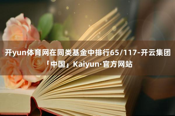 开yun体育网在同类基金中排行65/117-开云集团「中国」Kaiyun·官方网站